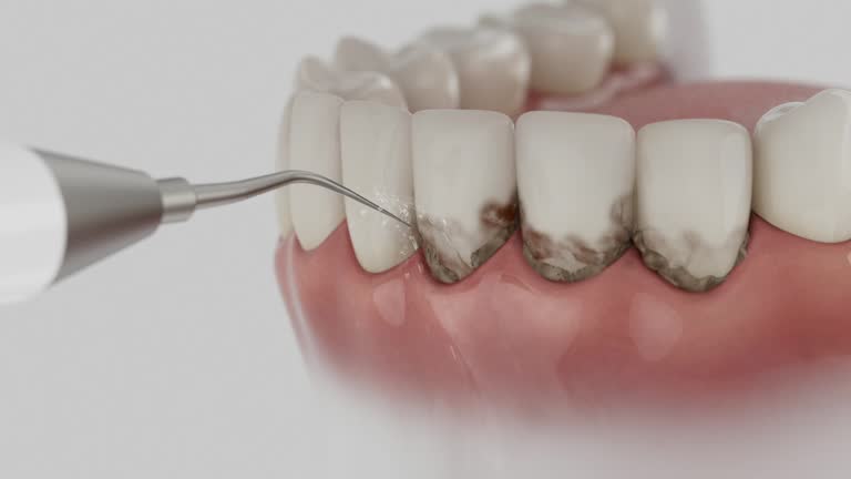 Reliable Dental contractor in Stateburg, SC by Dentist Open Now